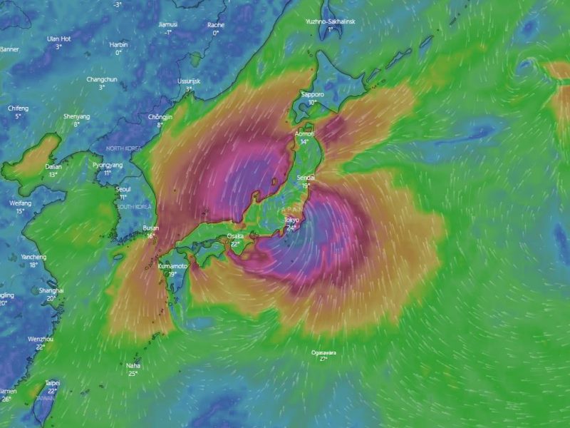 Typhoon Hagibis (19)